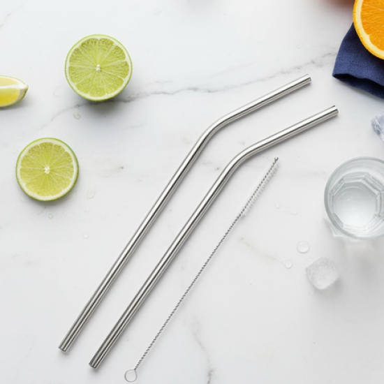 Reusable Stainless Steel Straws with Case for Drinking (4 Pc, Eco-Friendly)