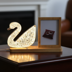 Duck Shape Cystal Led Lamp & Photo Frame Night Lamp | Wedding Gift | love couple