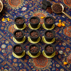 Premium Gugal Sambrani Cup Sambrani Havan Cups (12 Pcs Set)